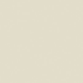 PORCELANATO "A" PAGLIA 54X54 RETIFICADO