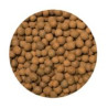 ARGILA EXPANDIDA 25L