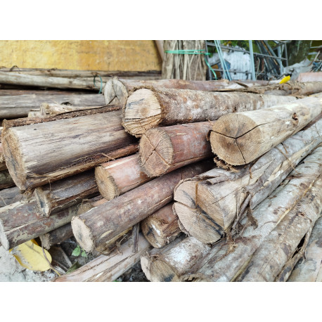 PONTALETE DE EUCALIPTO PECA C/ 3,00 METROS