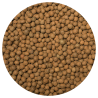 ARGILA EXPANDIDA 50L